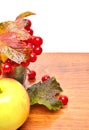 Red viburnum berries in the glass and an apple