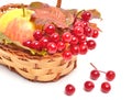Red viburnum berries and ripe apple in the basket
