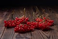 Red viburnum branches . Guelder rose. Beautiful red berries of viburnum branch on wooden background