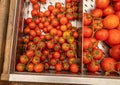 Red vine tomatoes on display Royalty Free Stock Photo