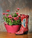 Red vintage cowboy boot