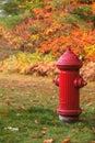 Red Vintage Fire Hydrant in a natural park on beautiful and colorful autumn color leaves season landscape background. Outdoor View Royalty Free Stock Photo