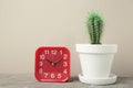 Red vintage old alarm clock and small cactus on grey background Royalty Free Stock Photo