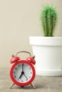 Red vintage old alarm clock and small cactus on grey background Royalty Free Stock Photo