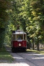 Red vintage tram rides on rails through a green chestnut alley Royalty Free Stock Photo