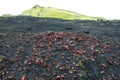 Red volcanic rocks, pumice stones on black sand and green hill near Laki craters, Iceland