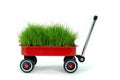 Red Wagon Royalty Free Stock Photo