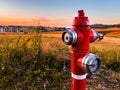 Red water hydrant in countryside landscape in sunset Royalty Free Stock Photo