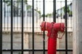 Red water hydrant head on the urban street. Royalty Free Stock Photo