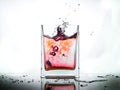 Red water splash in glass isolated on white background Royalty Free Stock Photo