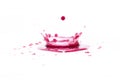Red water splashes On a white background, Royalty Free Stock Photo