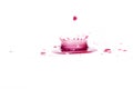 Red water splashes On a white background, Royalty Free Stock Photo