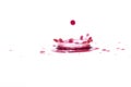 Red water splashes On a white background, Royalty Free Stock Photo