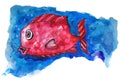 Red watercolor fish on a blue background Royalty Free Stock Photo