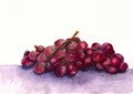 Red watercolor grapes