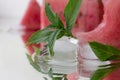red watermelon ice cubes mint water