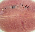 Red Watermelon surface and background texture Royalty Free Stock Photo