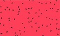 Red watermelon texture with seeds Royalty Free Stock Photo