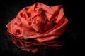 Red wavy silk drapery shawl, crumpled fabric swirl rose shape on a dark background