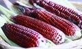 Red Waxy corn