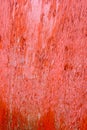 Red weathered wooden Plank Royalty Free Stock Photo