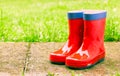 Red wellies