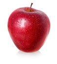 Red wet apple. Royalty Free Stock Photo