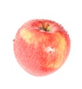 Red wet apple Royalty Free Stock Photo