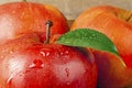 Red wet apple with big droplet, macro shot Royalty Free Stock Photo