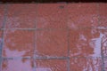 Red wet brick paving stones on a sidewalk. Abstract background texture Royalty Free Stock Photo