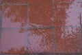 Red wet brick paving stones on a sidewalk. Abstract background texture Royalty Free Stock Photo