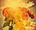 Red wet roses flowers bouquet on vintage sky Royalty Free Stock Photo