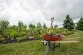 Red wheelbarrow with shovel in the garden Royalty Free Stock Photo