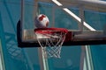 Red and White Ball Into Basket Royalty Free Stock Photo