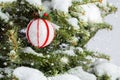 Red and white ball on a snowy Christmas tree