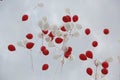 Red and white baloons Royalty Free Stock Photo