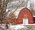 Red and white barn with trees  in snowstorm Royalty Free Stock Photo