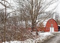 Red and white barn with trees  in snowstorm Royalty Free Stock Photo