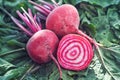 red and white beetroot - beets with green leaves and one cut in half with red rings in white flesh Royalty Free Stock Photo