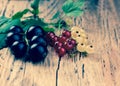 Red, white and black currant Royalty Free Stock Photo