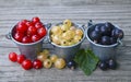 Red, white and black currant in a small buckets on a rustic wooden background.Ripe summer berry,garden berries. Royalty Free Stock Photo