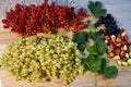 Red, white and black currants. Currant leaves and strawberry berries. Royalty Free Stock Photo