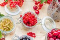 Red white black currants gooseberries cherries jars preparations Royalty Free Stock Photo