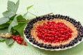 Red, white and black currants on a plate Royalty Free Stock Photo