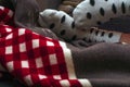 Red and white blanket and feet with white dotted socks chilling at home close up view Royalty Free Stock Photo