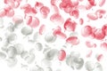 Red White Blood Cells Royalty Free Stock Photo