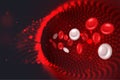 Red and white blood cells in an artery. Veins and vessels illustration. Royalty Free Stock Photo