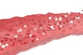 Red and white blood cells in cut flowing through veins, scientific and medical 3d illustration
