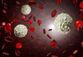 Red and White Blood Cells Royalty Free Stock Photo