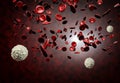 Red and White Blood Cells